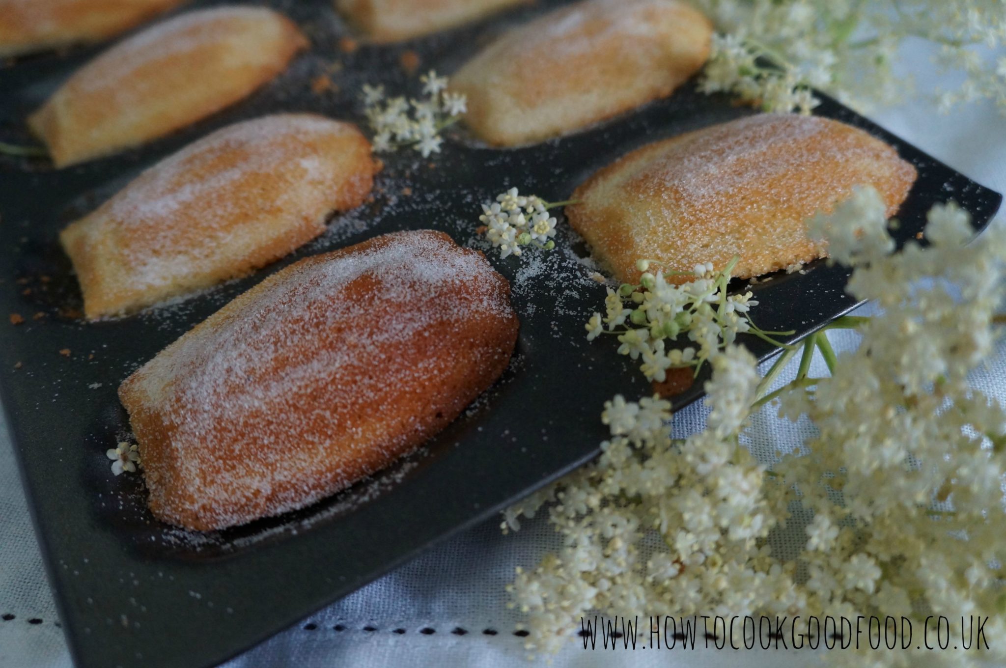 elderflower madeleines