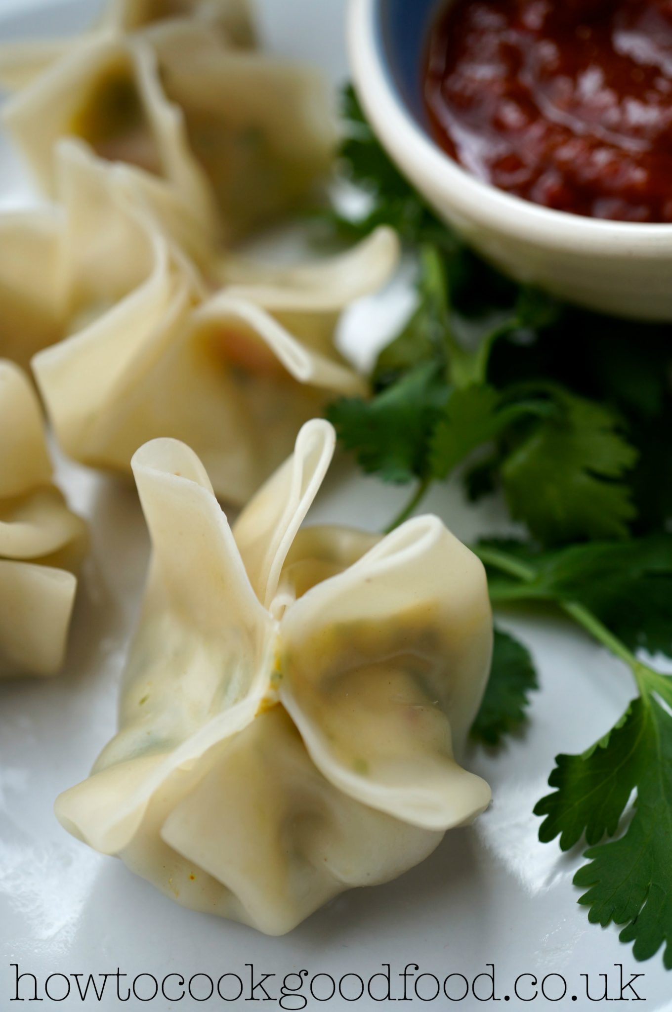 nepalese momos are little steamed dumplings originating from Nepal.