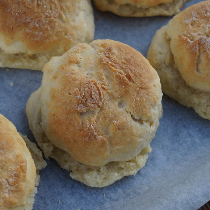rose lemonade scones